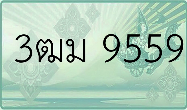 3ฒม 9559